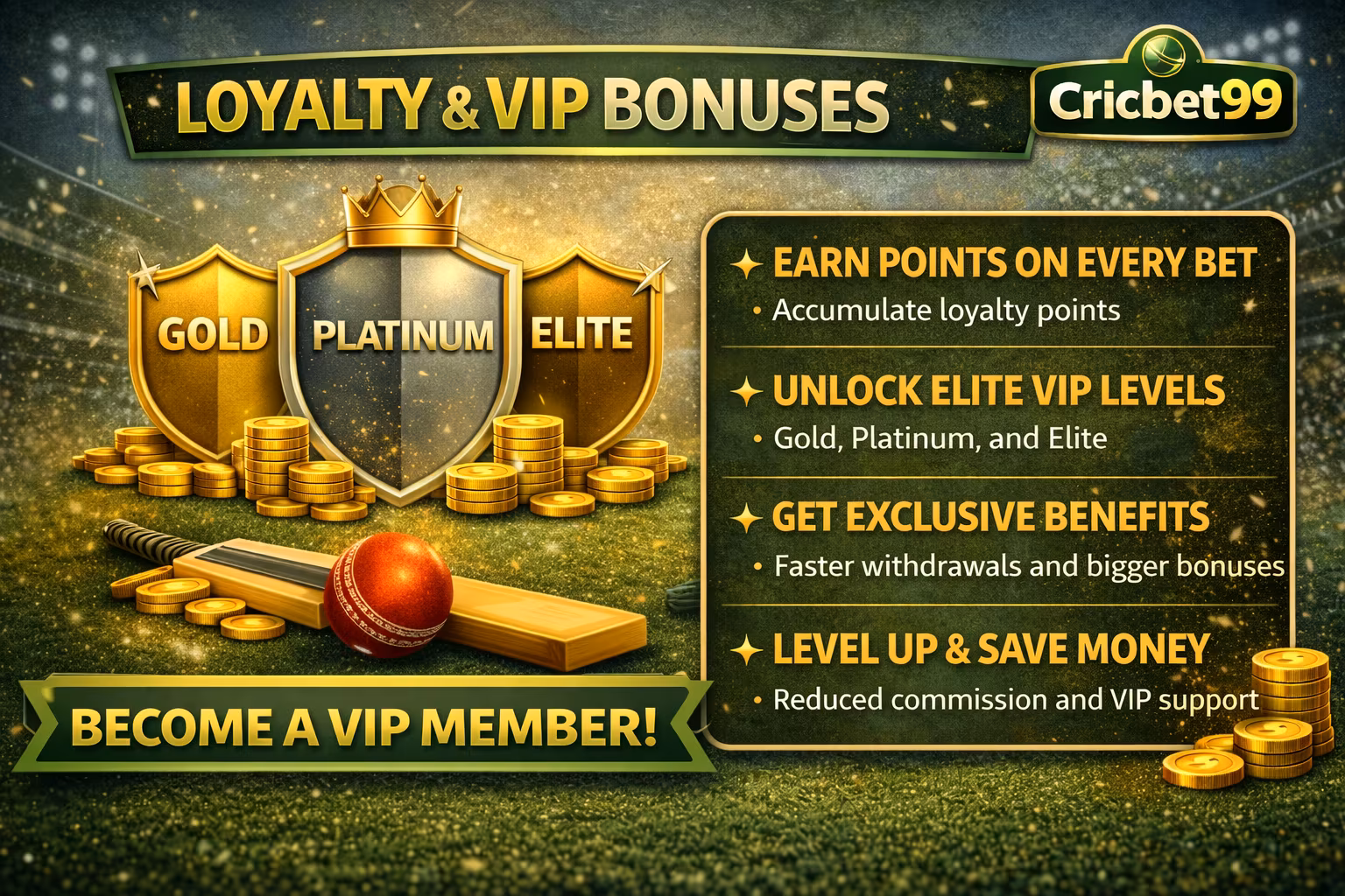 Vip Bonus